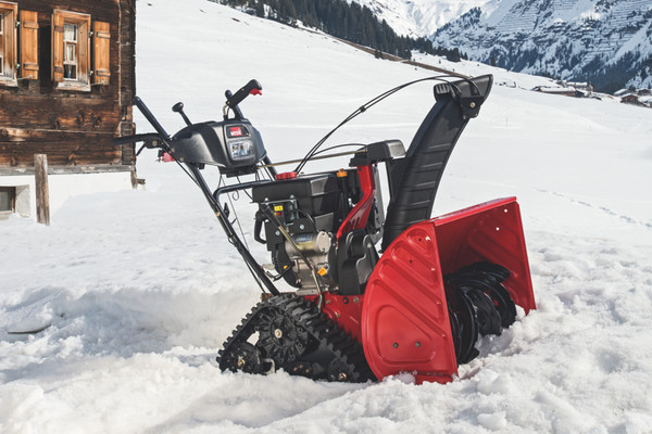 Découvrir nos fraises à neige