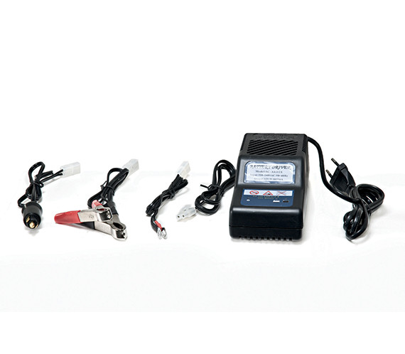 Chargeur de batterie 196-967-678 pour Miniriders et autoportées Chargeur de batterie 196-967-678 pour Miniriders et autoportées